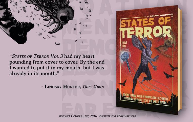 States of Terror Vol.3 - Weekly Blurb Countdown #3: Lindsay Hunter!
